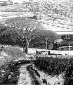 Snow covered landscape