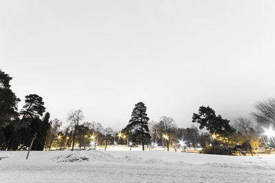 Trees on snow covered field against sky