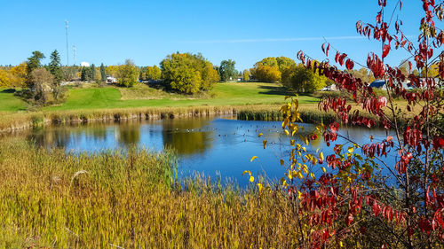 Scenic view of lake against clear sky