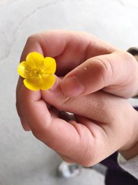 Cropped hand of child holding yellow flower