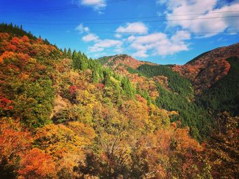 Scenic view of tree mountains against sky during autumn