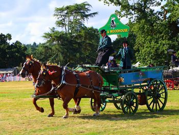 People riding horse cart