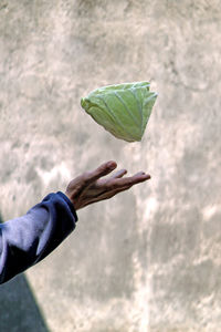 Close-up of hand catching cabbage