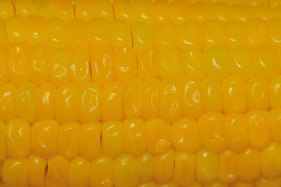 Full frame shot of corn on the cob
