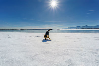Dog playing on a frozen lake.