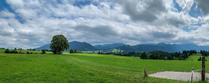 Scenic view of field against sky