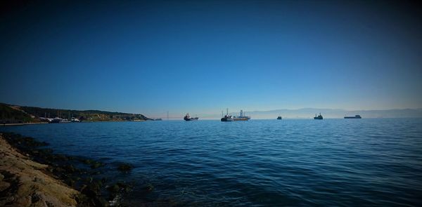 Sailboats in sea against clear blue sky