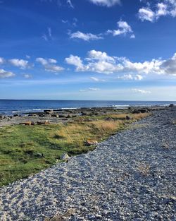 View of calm beach against blue sky