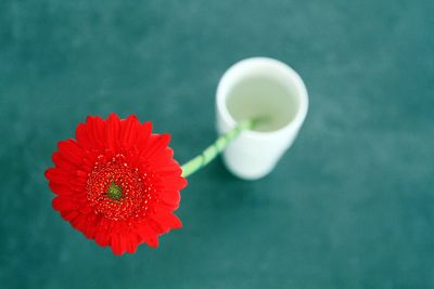 Close-up of red rose on white daisy flower