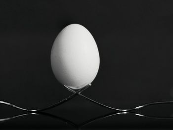 Close-up of egg against black background
