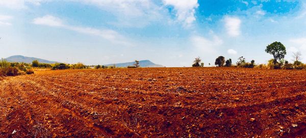 Panoramic view of agricultural field against sky during sunny day