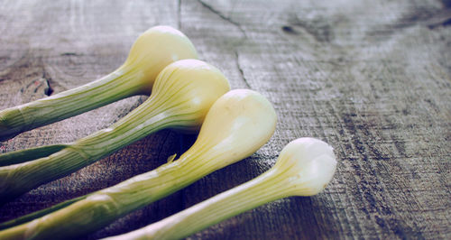 High angle view of scallions on table