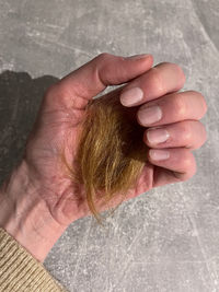 Cropped hand of person holding fruit