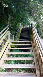 Low angle view of staircase