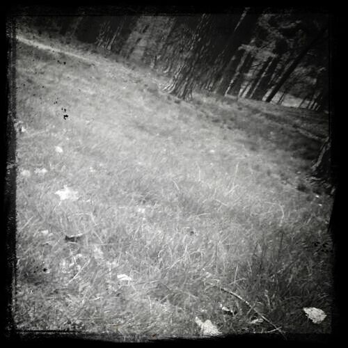 transfer print, auto post production filter, water, high angle view, grass, day, outdoors, nature, puddle, no people, field, wet, built structure, plant, weather, tranquility, abandoned, stream, sunlight, street