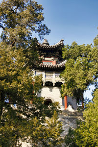 Low angle view of trees and building against sky