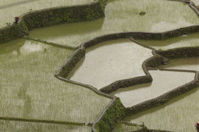 High angle view of swamp on field