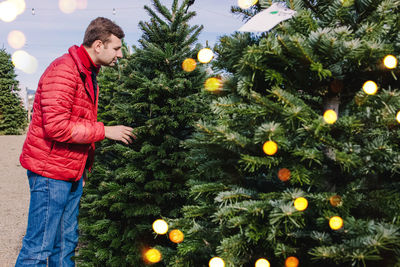 Low angle view of christmas tree
