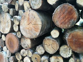 Full frame shot of logs in forest