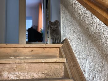 Low angle view of staircase in building