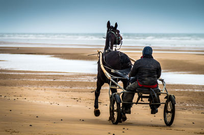 Rear view of man riding horse cart on beach