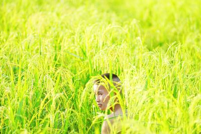 Boy sitting amidst crops on agricultural field