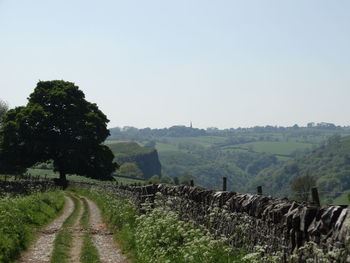 Scenic view of agricultural field against clear sky