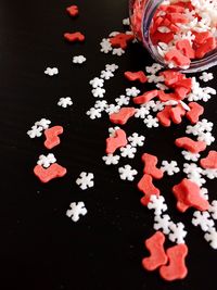 High angle view of flowers on table