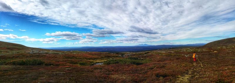 Scenic view of landscape against blue sky