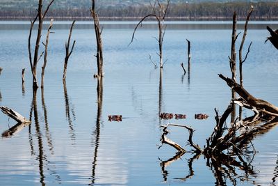 Scenic view of lake