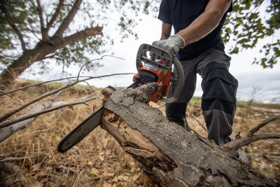 Low section of man cutting woods at forest