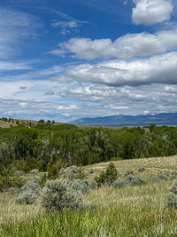 natural environment