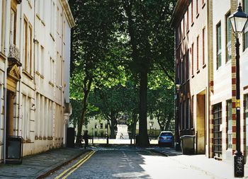 Street amidst trees in city against sky