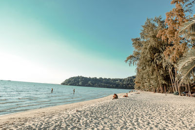 Scenic view of beach against clear sky