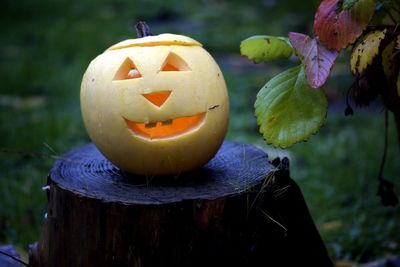 Close-up of pumpkin and pumpkins