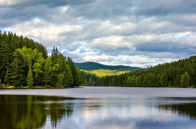 Scenic view of lake by trees against sky