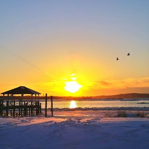 Silhouette of birds flying against sky at sunset