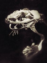 Close-up of black background
