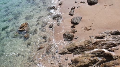 High angle view of rocks on beach