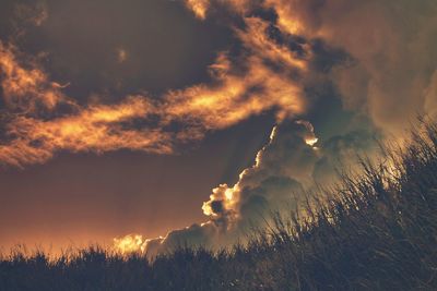 Scenic view of cloudy sky during sunset