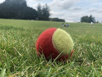 Close-up of ball on field