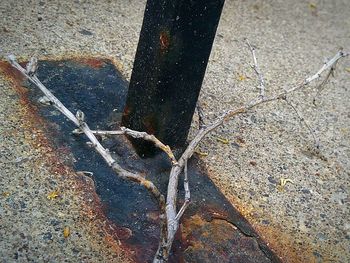 Close-up high angle view of road