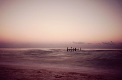 Silhouette people on beach against clear sky during sunset