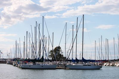 Sailboats moored on harbor against sky