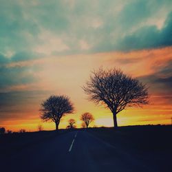 Silhouette of trees on landscape