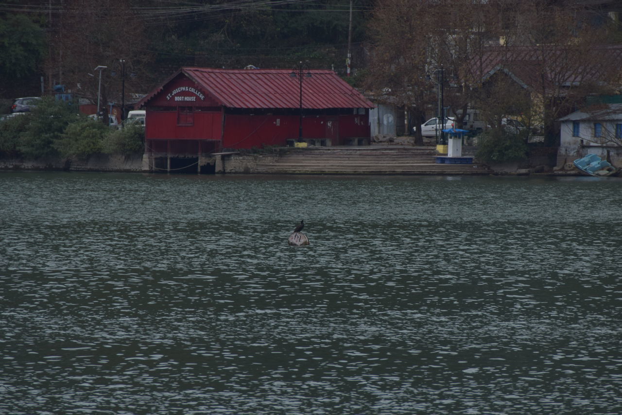 VIEW OF BIRD AND HOUSE IN WATER