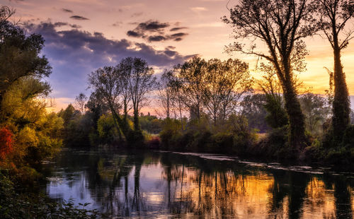 Trees by lake against sky during sunset