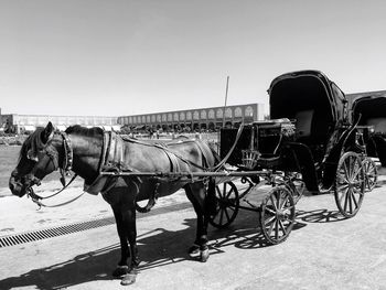 Horse cart against sky