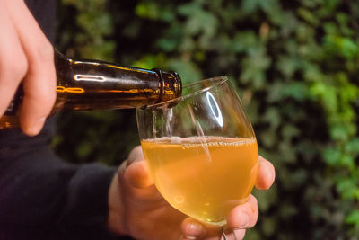 Close-up of hand holding wine glass