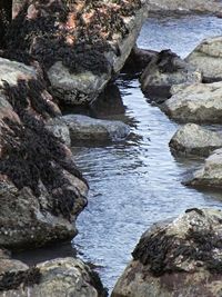 Rocks in sea